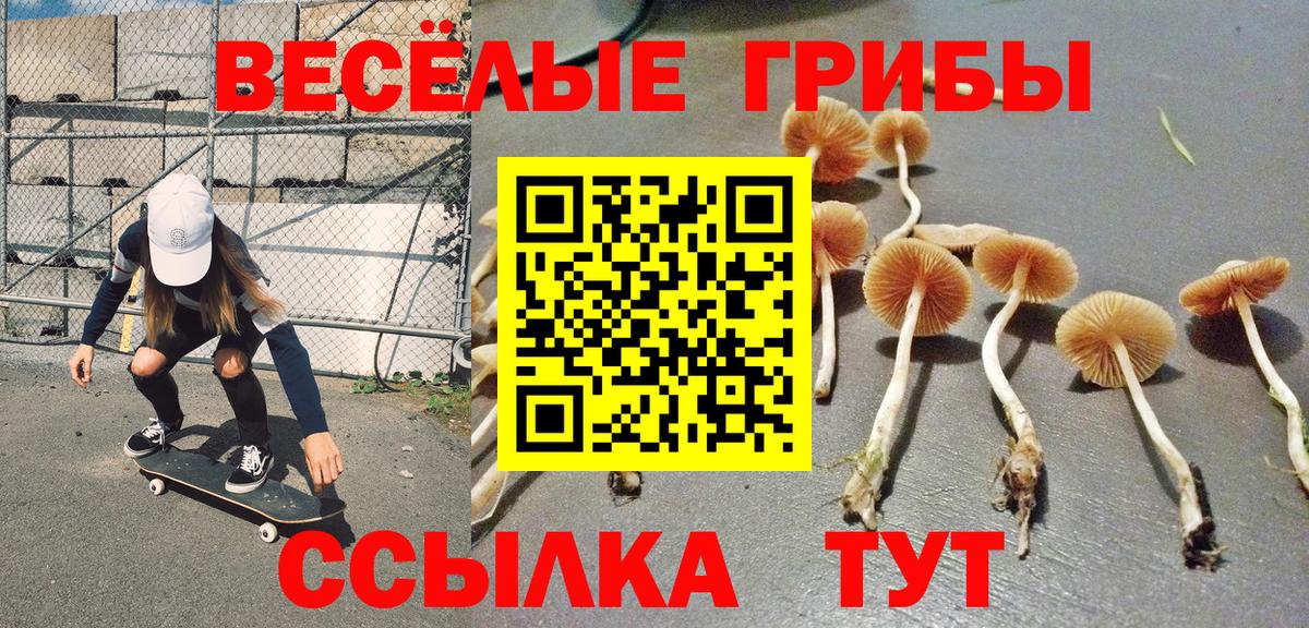 купить наркоту  Псилоцибиновые грибы GOLDEN TEACHER  Псилоцибиновые грибы ЛСД  Вход с VPN  Семилуки 