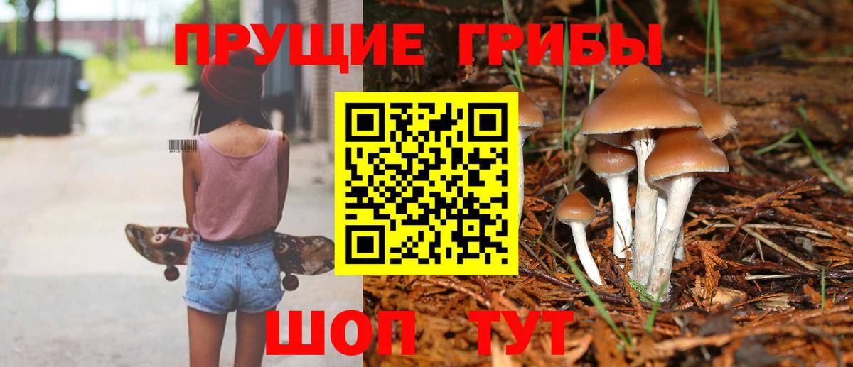 Псилоцибиновые грибы Psilocybe Семилуки