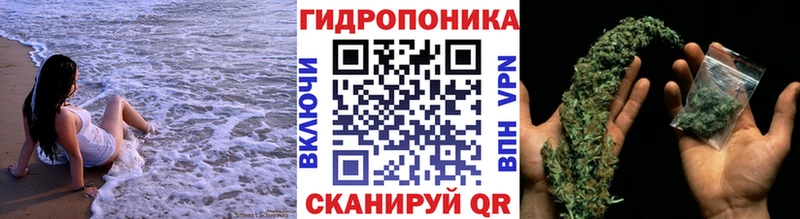 МАРИХУАНА VHQ  где купить наркоту  Семилуки 